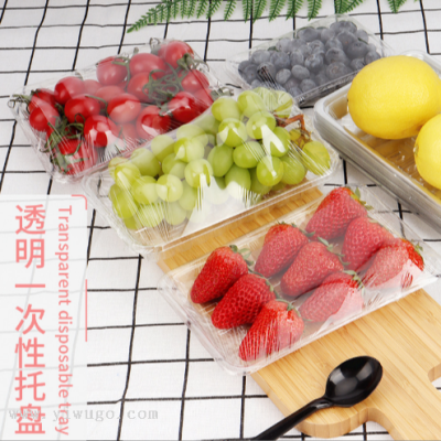 Fresh Produce Supermarket Rectangular Pet Plastic Transparent Food and Vegetable Packaging Box to-Go Box Disposable Fruit Tray