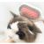 Pet Daily Supplies Multifunctional Pet Wipes Comb Cat Comb Dog Disposable Lint Roller Pet Comb