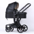 EN Landscape baby prams infant strollers buggy carriage out door gears ride on house hold supplies smart pushchair