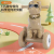 New Children's Scooter Boy and Girl Baby Luge Children's Novelty Toys Stall Gifts One Piece Dropshipping