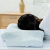 Sleeping Pillow Comfortable Zero Sense Magic Pillow Single Cervical Support Pregnant Women Can Use Memory Pillow