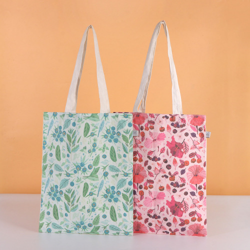 帆布包高级感帆布袋可印图案手提棉布袋上课单肩通勤大容量包包