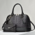Cross-Border Light Luxury New Shell Bag Wholesale All-Matching Graceful Trendy Women's Bags One Piece with Large 18505