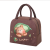 Lunch Bag Insulated Bag Picnic Bag Ice Pack Mummy Bag Lunch Bag Fresh-Keeping Bag Outdoor Bag Beach Bag