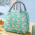 Insulated Bag Lunch Bag Lunch Bag Ice Pack Picnic Bag Mummy Bag Fresh-Keeping Bag Beach Bag Outdoor Bag with Lunch Bag