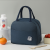 Cationic Insulated Bag Lunch Bag Lunch Bag Picnic Bag Ice Pack Fresh-Keeping Bag Beach Bag Picnic Bag Beach Bag