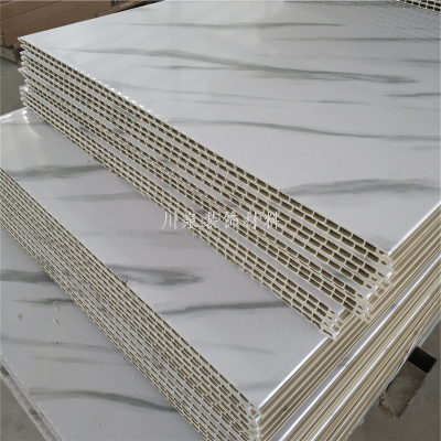 Factory Wholesale Pvc Buckle Dust-Proof Moisture-Proof Ceiling Plastic Pvc Buckle Plastic Integrated Quick-Installation Wallboard