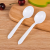 Factory Export Disposable Knife Fork Spoon Western Food/Steak Fruit Fork Ps Material Thickened Party Supplies