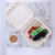 Dining Packaging Lunch Box 8-Inch Square Sealed Disposable Lunch Box Take out Take Away Degradable 1000ml Lunch Box