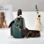Women's Color-Matching Bag One Piece Dropshipping Women's Fashion Trendy Bags High-Grade Shoulder Messenger Bag Handbag Small Bag
