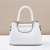 Spring and Summer 2024 Trendy Women's Bags Large Capacity One-Shoulder Crossboby Bag Handbag Women's Foreign Trade Cross-Border One Piece Dropshipping Bag