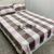 Printed Strip Three-Piece Set Two-Piece Set Bedding Blanket Flannel Coral Fleece Foreign Trade in Stock New Arrival Hot Sale
