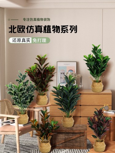 客厅仿真绿植橡皮树小盆栽仿生植物室内落地装饰摆件造景景观假树