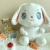 17-Inch Plush Toy Factory Direct Sales (6)