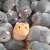 Plush Toy Pillow Cat Cube Cat Foreign Trade Hot Products
