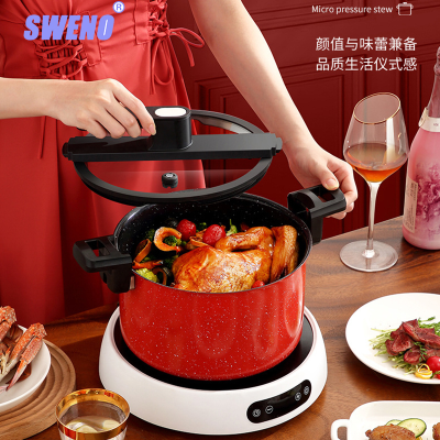 Non-Stick Pressure Cooker Micro-Pressure Pot Household Cooking Pot Stainless Steel Soup Pot Braised Insulation Pot Maifan Stone Gift Pot