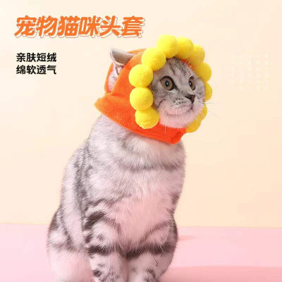 Pet Cat Head Cover Spoof Headdress Cerebellar Tiger Piggy Cute Puppy Head Cover Cartoon Cat Hat Source Factory
