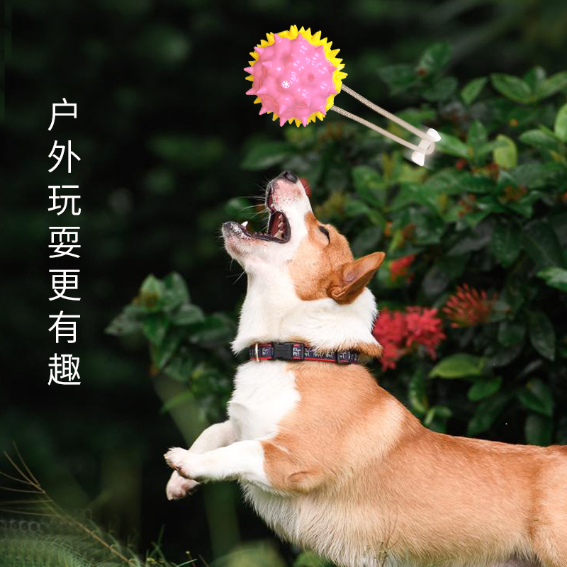 Product Image Gallery