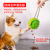 New Dog Toy Rope Holding Sound-Resistant Food Dropping Ball Bite-Resistant Puzzle Relieving Stuffy Interactive Tooth Cleaning Pet Supplies Wholesale