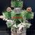 Factory Direct Sales Christmas Decorations Mini Christmas Tree Ornaments