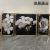 Junior Crystal Porcelain Painting with Diamond Line Feather Nordic Light Luxury Abstract Decorative Painting Set Photo Frame Crafts Mural