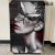 Crystal Porcelain Painting Beauty Series High-End Custom Decorative Painting Crystal Porcelain Bright Crystal Diamond Line Mural Craft Frame Hanging Painting