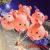 Luminous Pink Pig Balloon Wholesale Stall Style Night Market Douyin Online Influencer Fliggy Handheld Bounce Ball