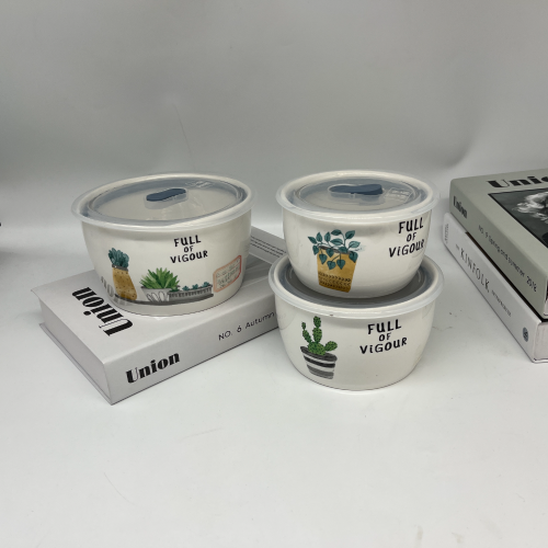 陶瓷保鲜保温碗水彩盆栽三件套便当密封盒微波炉专用