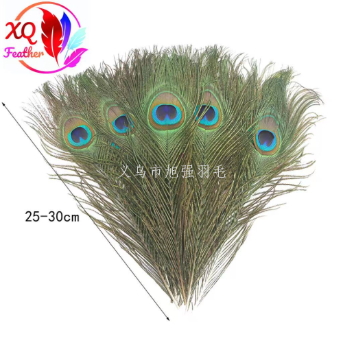 Feathers Natural Peacock Fur in Stock Wholesale Peacock Feather Peacock25-30cm Feather Accessories