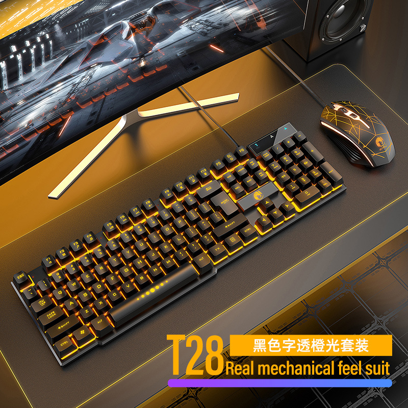 Product Image Gallery