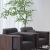 Modern Minimalist Coffee Table North America Black Walnut Living Room Furniture Customization High-End Affordable Luxury Storage Coffee Table
