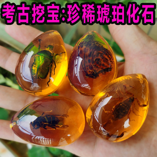 archaeological mining toys digging gem amber insect dinosaur fossil blind box children‘s gift handmade factory wholesale