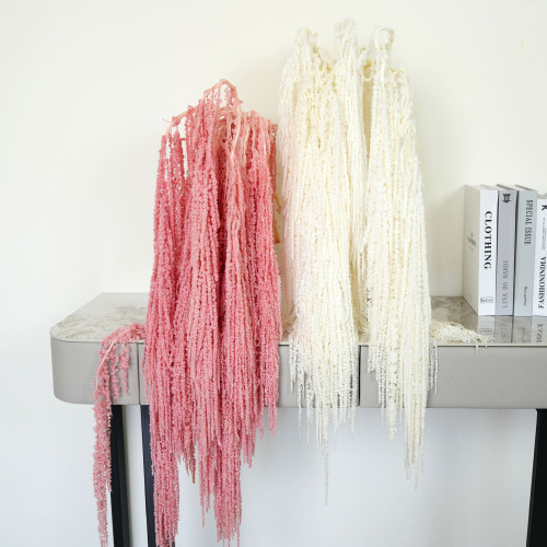 永生吊米柔丽丝保鲜花婚礼婚庆装饰长穗花高品质白色红色绿色批发