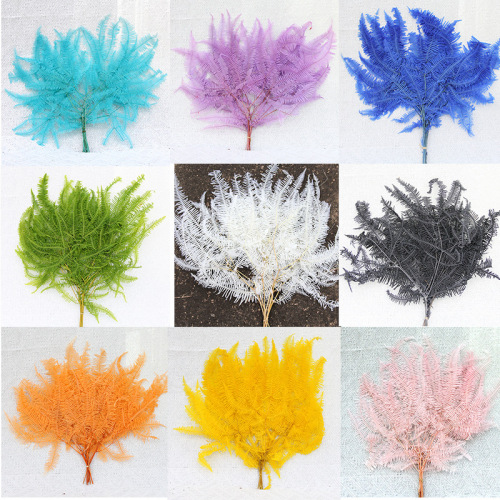 永生芒萁叶干花永生花蕨叶diy材料花束装饰浮游花相框压花花材