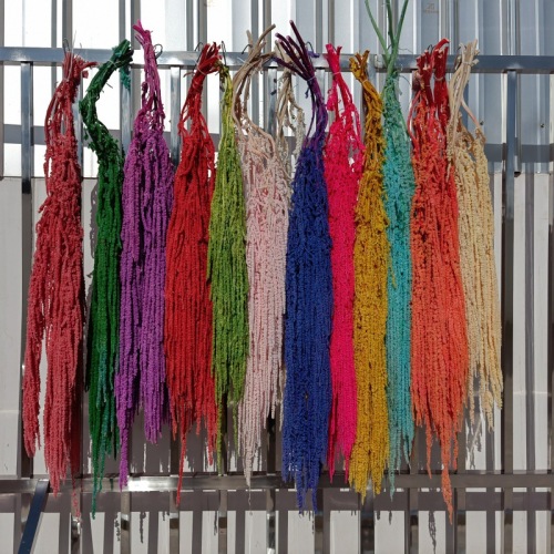 永生吊米真花 情人泪 柔丽丝 红米悬挂保鲜花