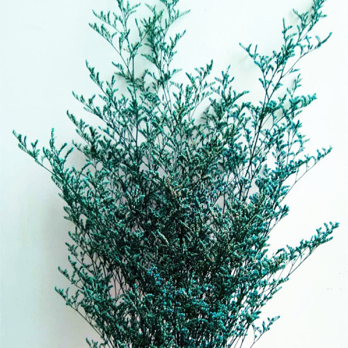 永生情人草永生花吸色情人草多色可选软装装饰120克一束厂家批发