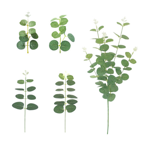 仿真单只金钱叶尤加利叶 ins森系婚庆插花配件 插花配材装饰叶子