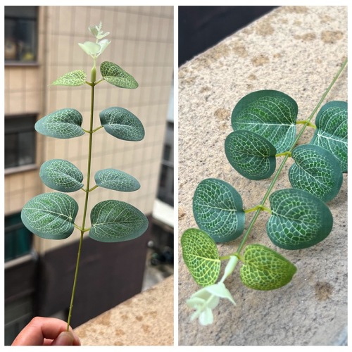 绿植仿真植物婚庆插花配材装饰 单支金钱叶尤加利叶 花束配草批发