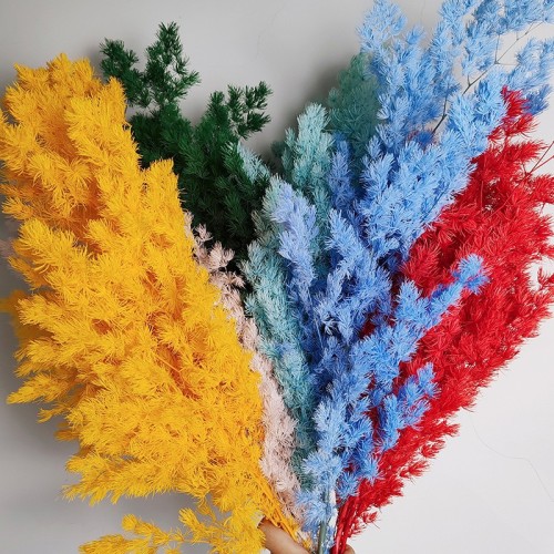 永生蓬莱松 短枝长枝手工材料花艺插花搭配花束永生花材料批发