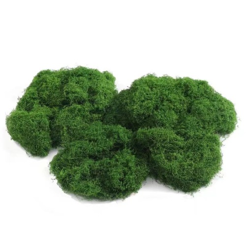 仿真苔藓丝状 绿植造景花盆铺面水草鱼缸景观装饰手工DIY跨境苔藓