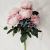 Multi-Color Meili Peony Artificial Flower Artificial Flowers Wedding Festival Ornament Embellishing Artificial Green Plant