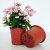 22 years of Factory Direct Sales Brick-red Flowerpot Φ90 - H86