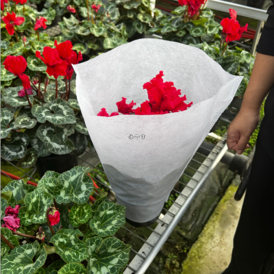 22 Years Factory Environmental Friendly Flowerpot Bagging Non-woven Fabric