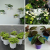 Factory Price Grow Seedlings Large Greenhouse Plastic Flowerpot Φ130-H115