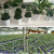 Hot Selling Many Size Color Garden Succulents Plastic Flowerpot Φ180-H155