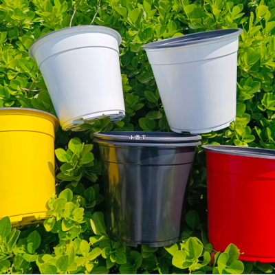 Years of Production Experience Breathable Good Quality Plastic Flowerpot