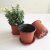 Wholesale High Quality Eco Friendly Cheap Plastic Flowerpot Φ110-H95