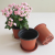 Custom Available Thickened Colorful Succulent Plastic Flowerpot Φ130-H114