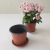 Custom Available Thickened Colorful Succulent Plastic Flowerpot Φ130-H114