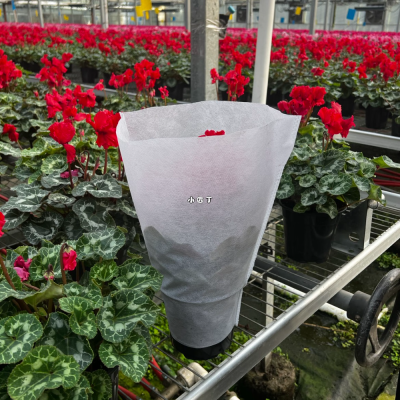 Factory Environmental Friendly Flowerpot Bagging Non-woven Bagging